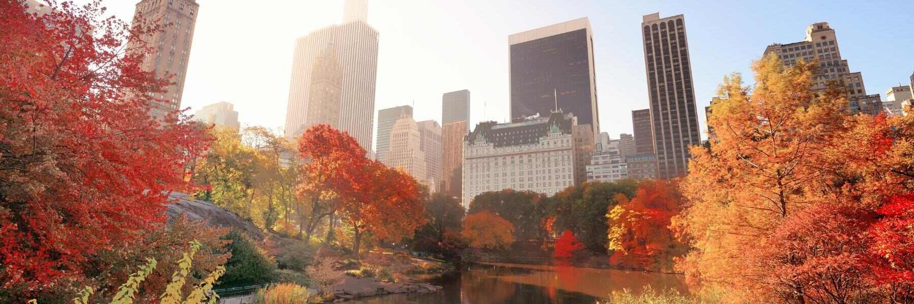 Fall in Love with Ameritania